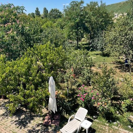 City Garden Escape Popesti-Leordeni Zewnętrze zdjęcie
