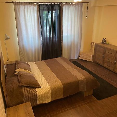 City Garden Escape Popesti-Leordeni Zewnętrze zdjęcie
