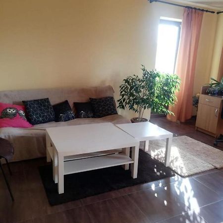 City Garden Escape Popesti-Leordeni Zewnętrze zdjęcie