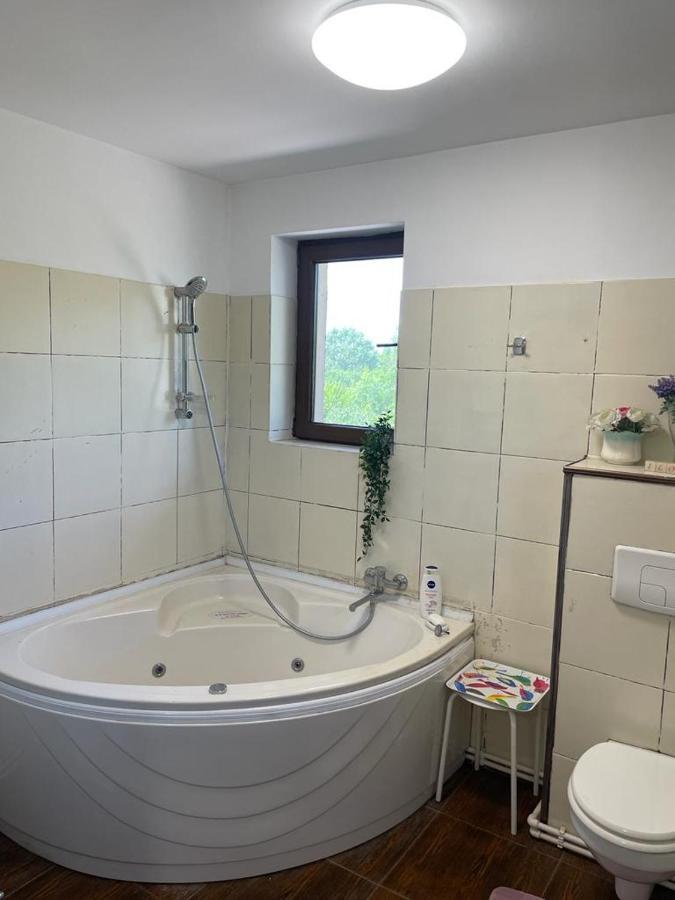 City Garden Escape Popesti-Leordeni Zewnętrze zdjęcie